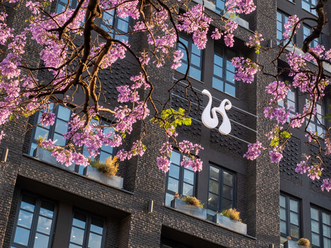 Hyde约翰内斯堡玫瑰银行酒店