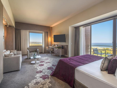 Vasilia酒店住宿-Concorde Luxury Resort & Casino & Convention & SPA