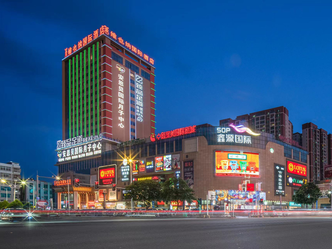 维也纳国际酒店(廉江大道鑫源国际广场店)