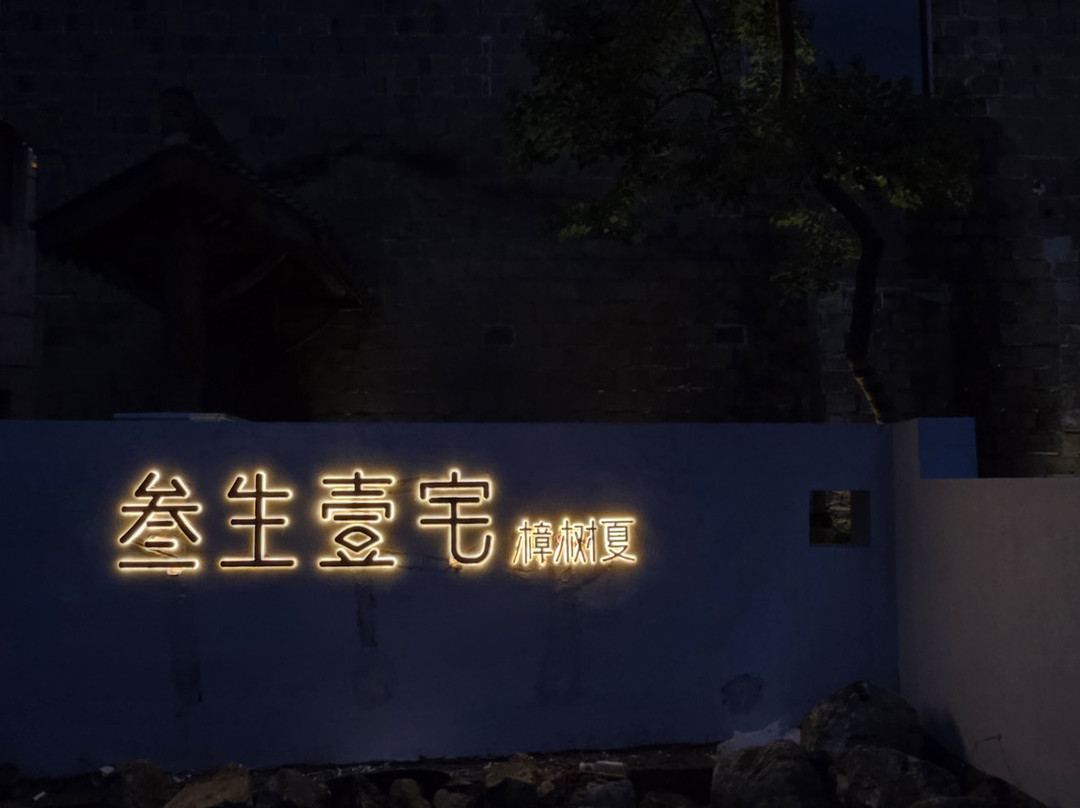 叁生壹宅樟树夏