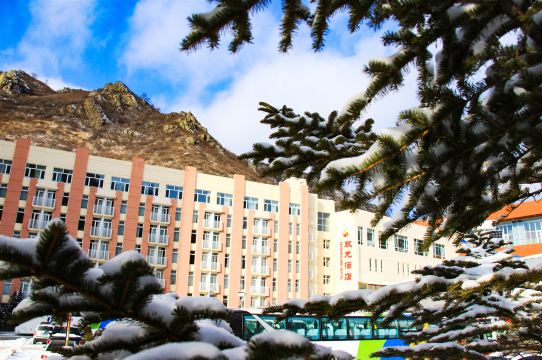 万龙滑雪场双龙酒店-官方