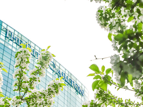 北京金融街丽思卡尔顿酒店