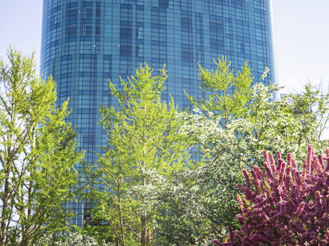 北京金融街丽思卡尔顿酒店