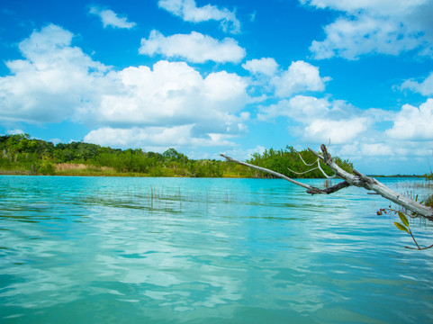 坎佩切酒店住宿-The Explorean Kohunlich