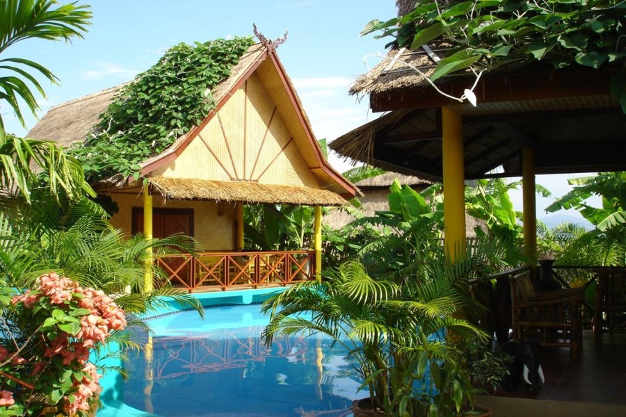 Old Tree's House-官方