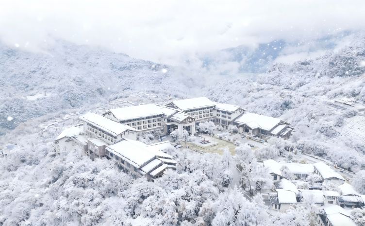 神农架阿尔卡迪亚森林酒店-官方