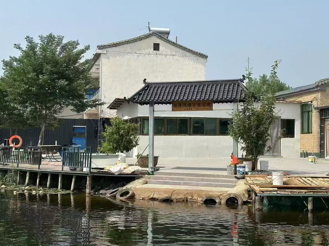 安新维子农家院