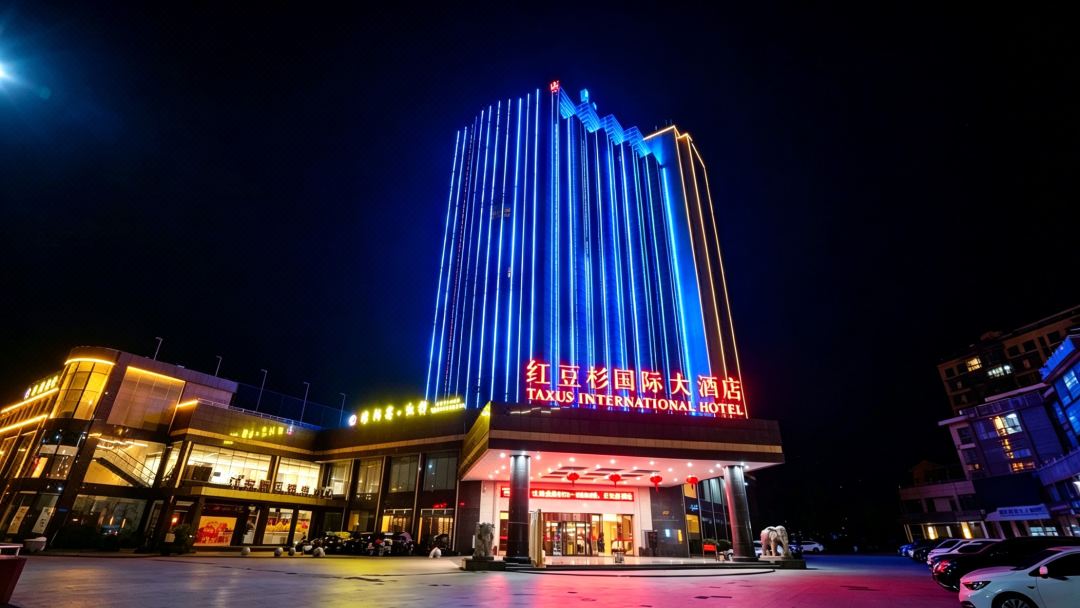 Taxus International Hotel