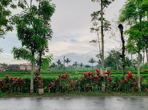 Pringgajurang酒店住宿-Lesehan Cahaya Tetebatu Inn Syariah At Desa Wisata