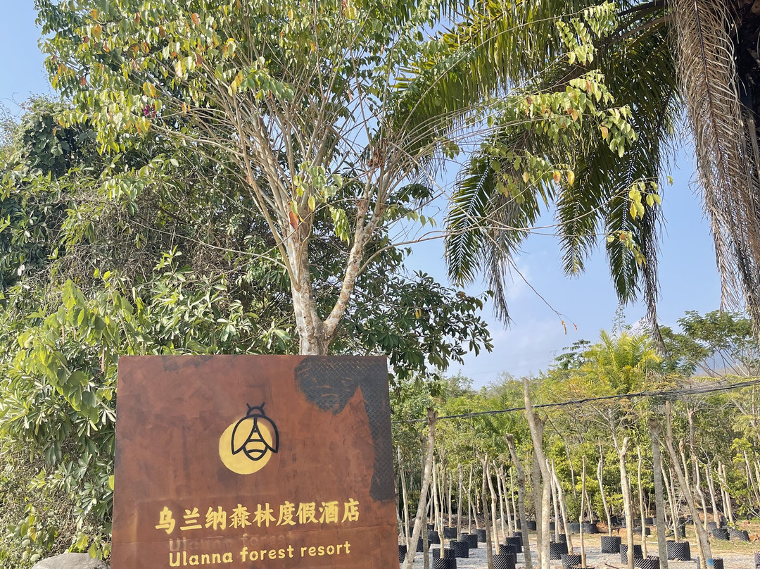 乌兰纳森林度假民宿