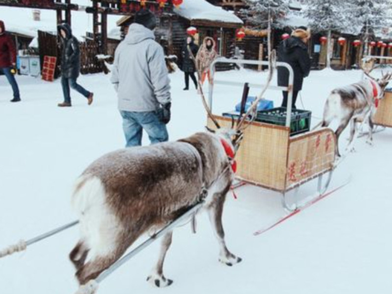 雪乡雪韵假日度假酒店(雪韵大街店)