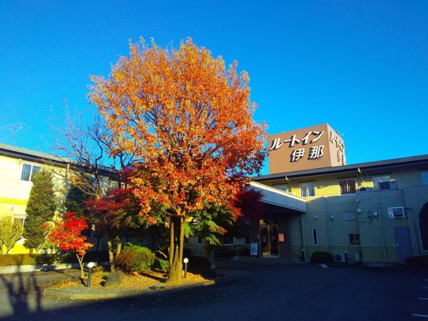 露樱COURT酒店伊那店-官方