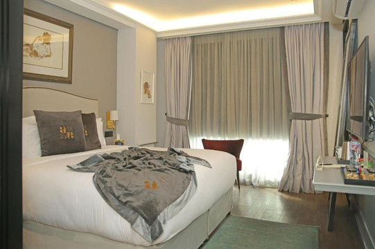 拉合尔环境精品艺术酒店