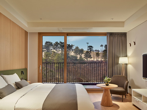 扶余郡酒店住宿-Lotte Resort Buyeo