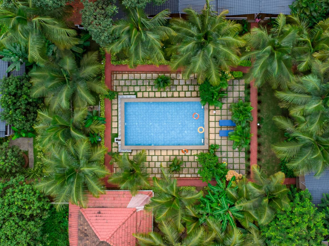 White Truffle Resort, Arambol