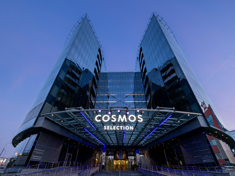 Cosmos Moscow Sheremetyevo Airport Hotel