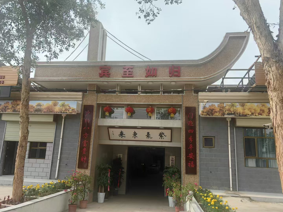 金塔县金屋民宿