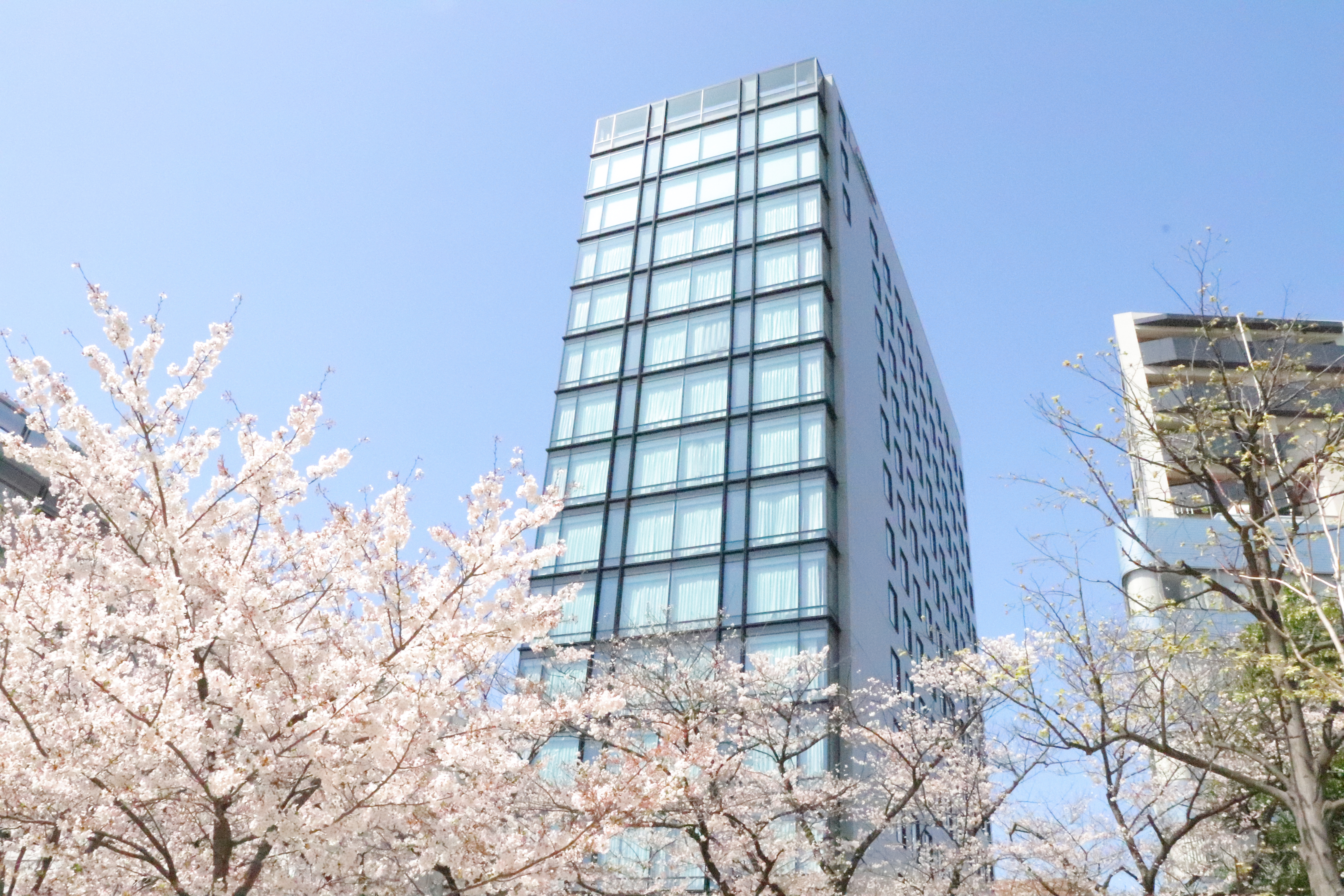 筑地银座京阪大酒店-官方