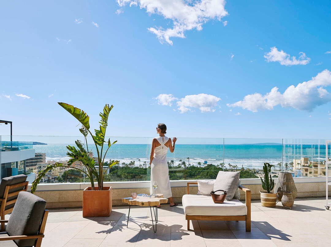 巴利阿里群岛酒店住宿-Iberostar Selection Llaut Palma