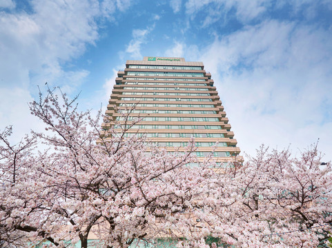 晴川假日酒店主图