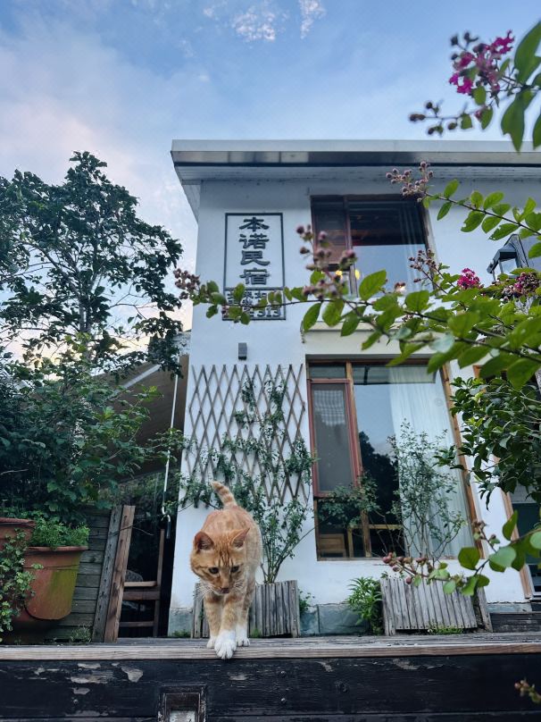 Hangzhou Beno Hostel