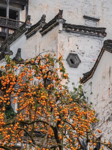 秋語云棲·Villa設計美宿（曬秋觀景台篁嶺風景區店）