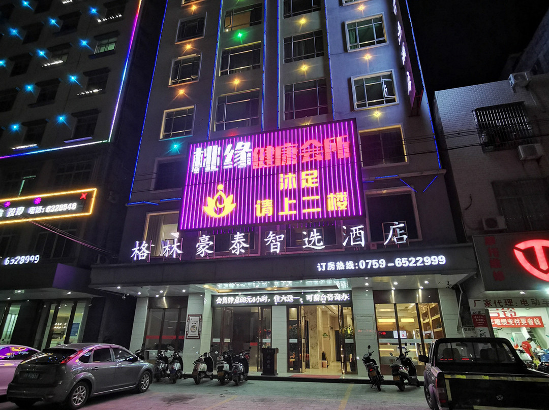 格林豪泰智选酒店（廉江九洲江大道北星光夜市店)
