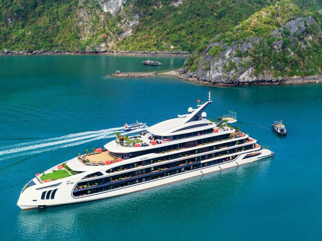 Celina Of The Sea Cruise