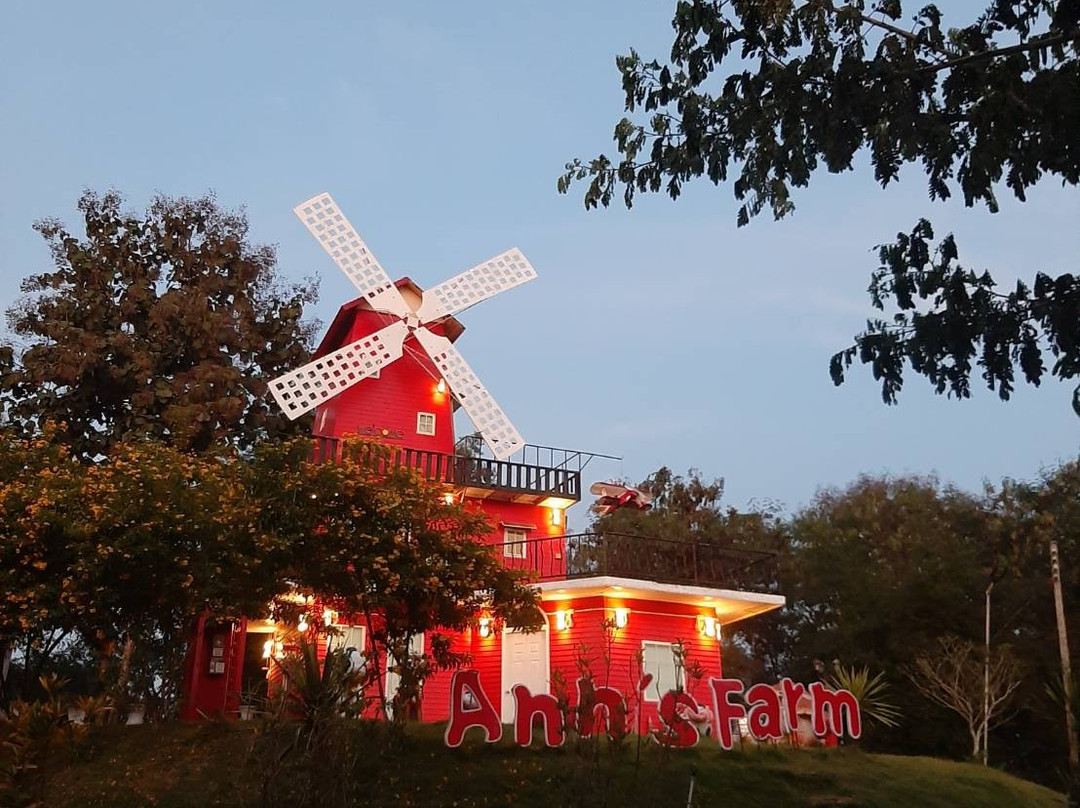 Ann farm lampang