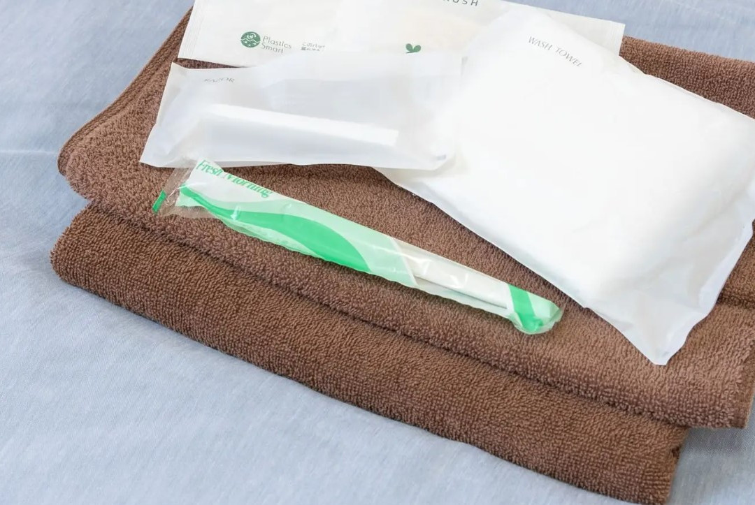 Guesthouse Hirono