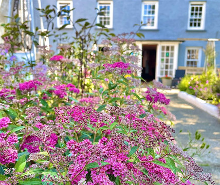 St Davids Cross Hotel