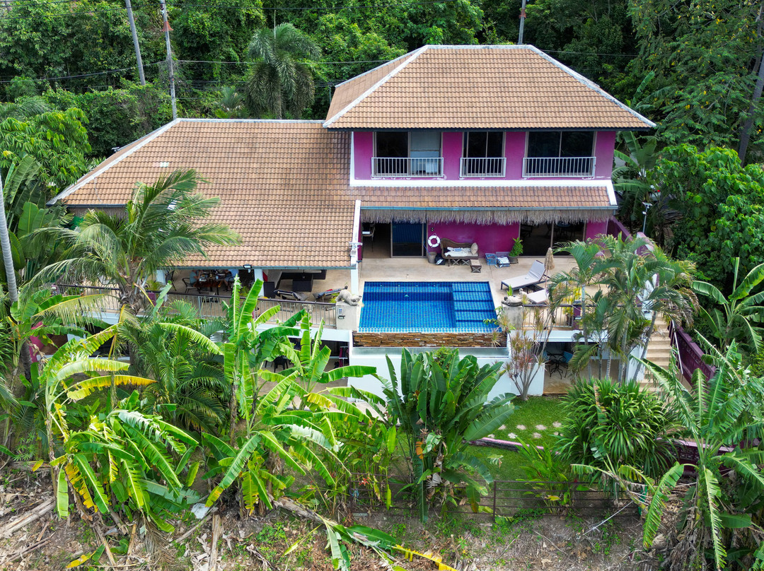 Pink House