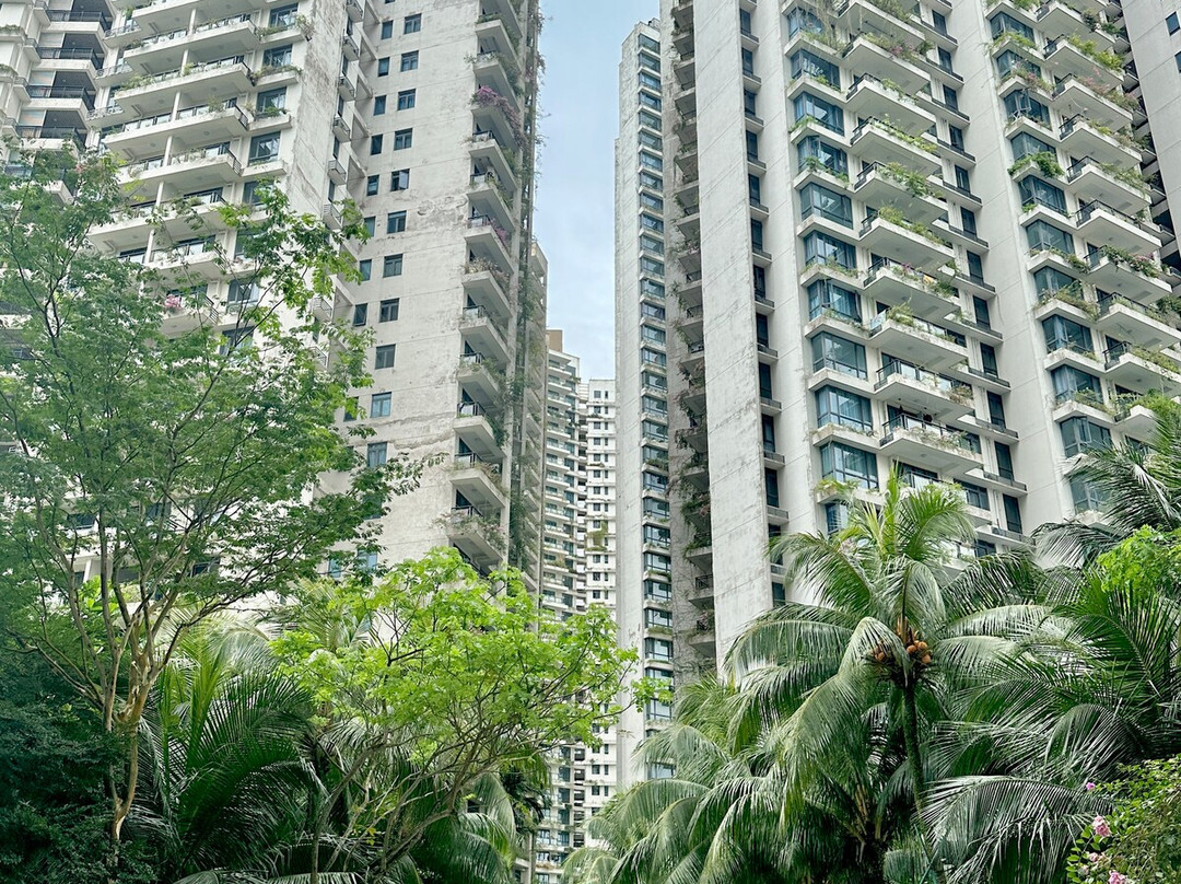 Starview Bay 2B1R 3Pax Forest City