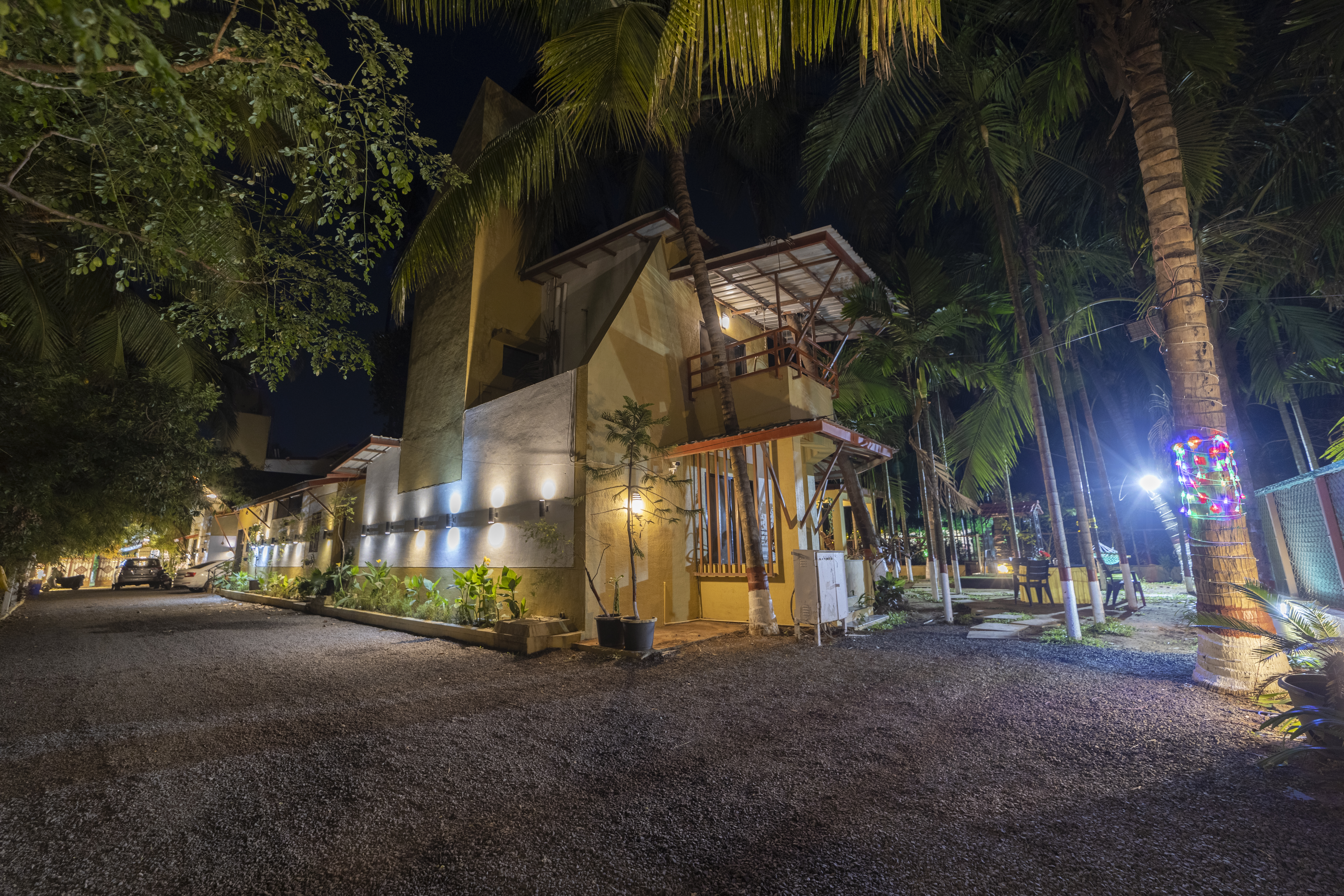 椰子海滩农场-官方