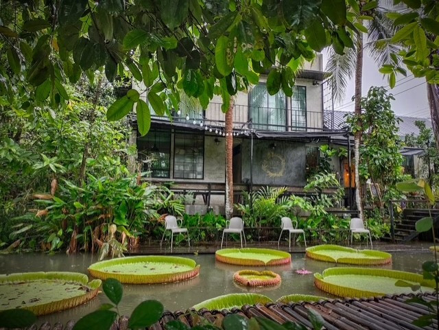 加吉布住宿加早餐旅馆早餐