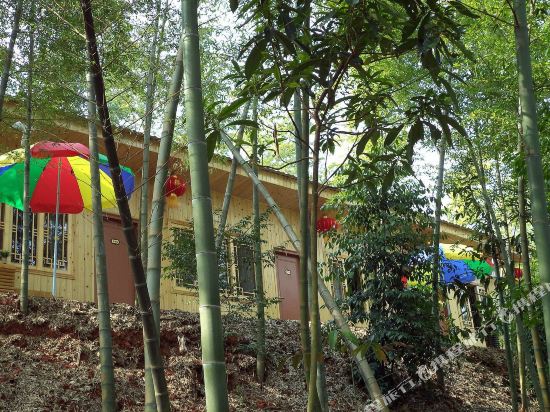 蜀南竹海竹海情缘农家乐