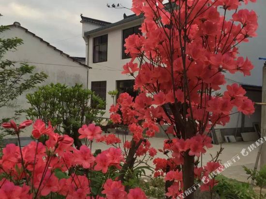 九华山九莲客栈