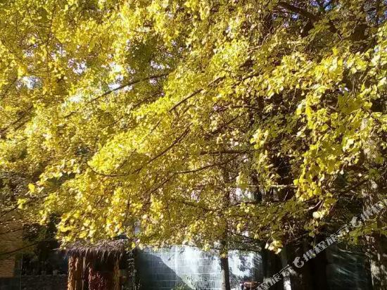 腾冲肖荣农家乐