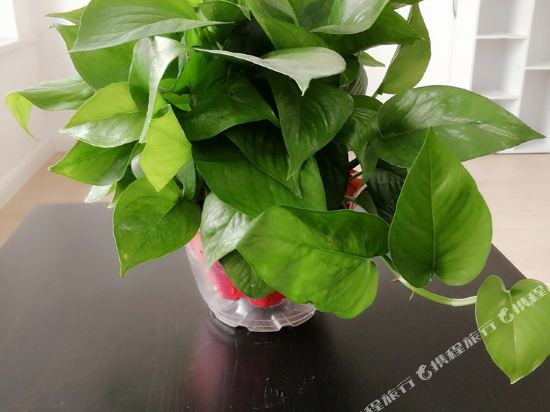 嘉兴&我家［好久不见］公寓(4号店)