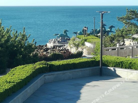 烟台小猫咪民宿