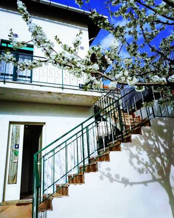 帕腾诺佩民宿-官方