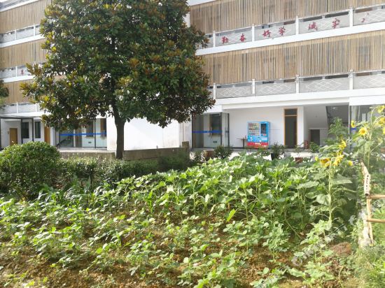 黄山望山公社特色酒店