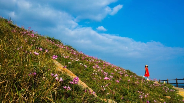 嵊山岛乐佳客栈-官方