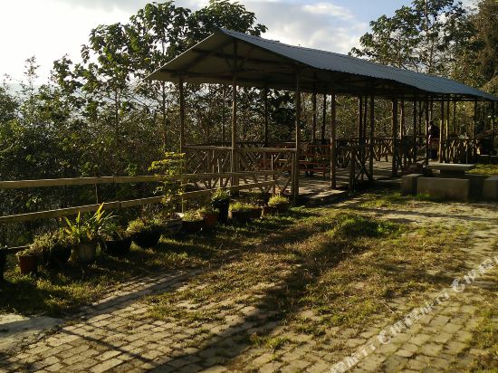 元阳茶树广场酒店