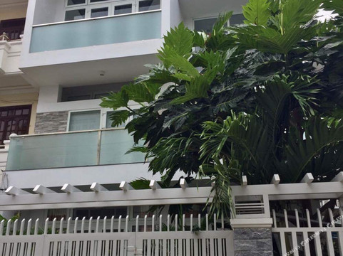 Dien Khanh酒店住宿-Vivid Garden Homestay