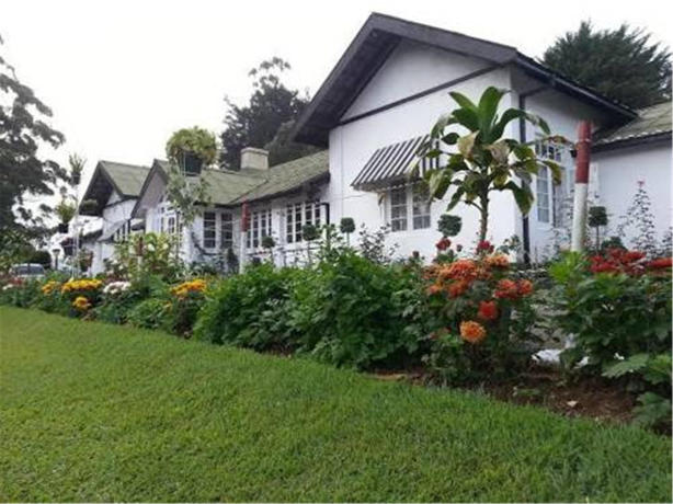 特列文酒店-官方