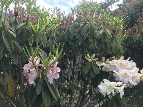 雅安巴扎角民宿