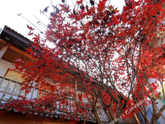 丽水崖上居民宿