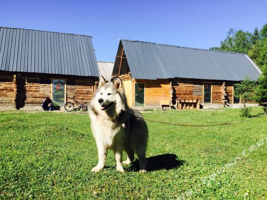 布尔津求水山住山庄