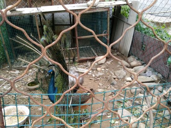 野三坡巷坻民宿